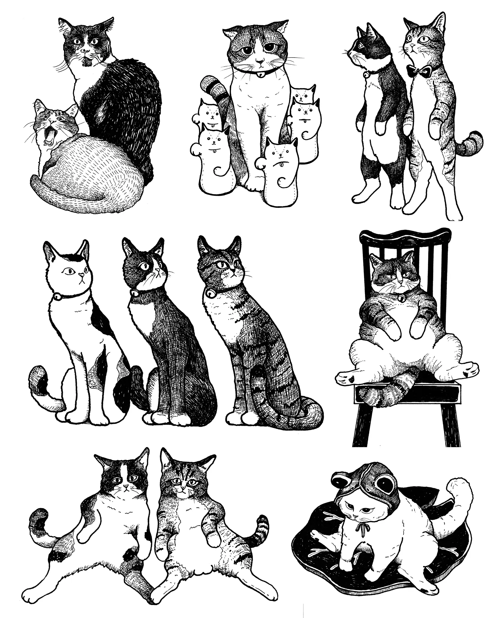 さまざまな猫をボールペンで描いたイラスト。